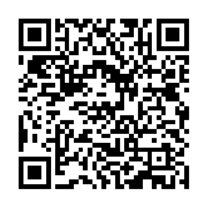 一股凌厉的劲风以金剑锋为中心朝着四面八方扩散而去二维码生成