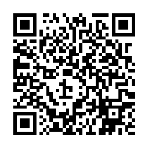 一股恐怖的镇压一切的气息瞬间从玲珑星辰塔之中散发出来二维码生成