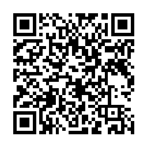 一股无比恐怖的浩瀚的气势也瞬间从龙傲天的身上散发出来二维码生成