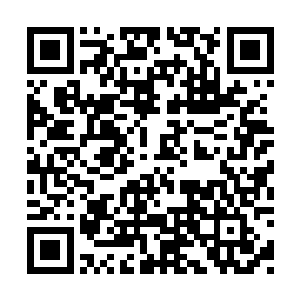 一股浓浓的嫉妒的情绪也从他的心底升腾了起来二维码生成
