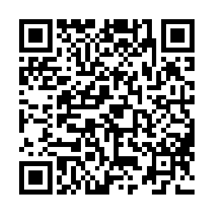 一股绝强的恐怖的气息也瞬间直接笼罩方圆数百里的范围二维码生成