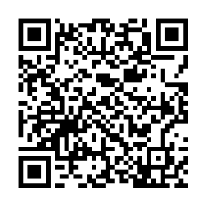 一股股浓郁的黑红光芒也骤然从那盘古幡中激荡而出二维码生成