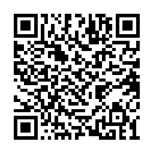 一股股的五彩世界之力就从他们的身上散发出来二维码生成