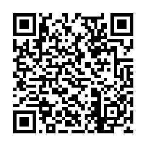 一般修士一进入明日梦魇就会陷入未来中无法自拔二维码生成