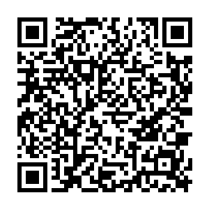 一般外交部的发言人哪可能如此一本正经的在面向全世界的新闻发布会中讲段子二维码生成