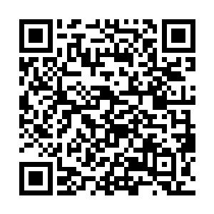 一行为大儿子的终身大事担心的徐大夫人也闻讯而来二维码生成