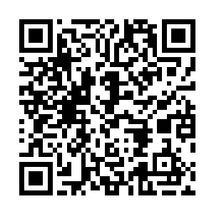 一走到门口却撞上他手里拿着几片细小的竹叶又折回来了二维码生成