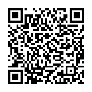 一路喋血撞断了七八棵树最终倒挂在了一根树杈上面二维码生成