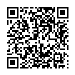 一身杂学的祝天养对某些东西的接受程度远高于普通人二维码生成