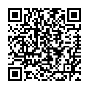 一边儿担心拍下她的顾客是个肥头大耳面目猥琐的中年大叔二维码生成