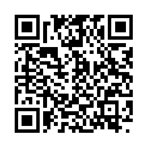 一边喝着小酒一边望着海面上不断跃起了鱼群二维码生成