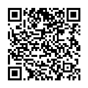 一边将那锦囊藏进了绣有栀子花的蓝色衣袖之中二维码生成