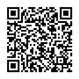 一边的村正及村老等人拿着毛笔完全是一副打酱油的心态二维码生成