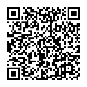 一边的白雨柔见到这一幕之后心中除了震惊之外还有一丝丝的失落二维码生成