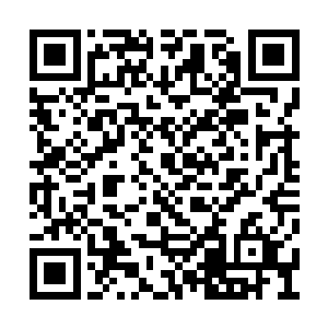 一边说一边示意身边下人将那嬷嬷手中之物接过二维码生成