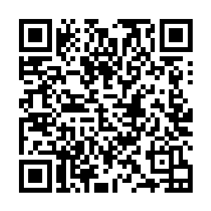 一连两三条被血腥气冲昏了头脑的恶鲨连续围堵了过来二维码生成