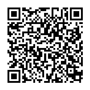 一道道恐怖的攻击也是带起一股股恐怖的能量bo动朝着四面八方肆虐而开二维码生成