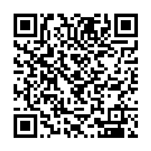 一道道无比恐怖的攻击直接朝着血狱怪物的身上轰去二维码生成