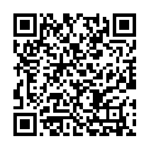 一道道血蛇也是不断的朝着金剑锋的身上肆虐而去二维码生成