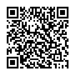 一部分修为高的冲向了许紫烟他们这些上元大陆修士二维码生成