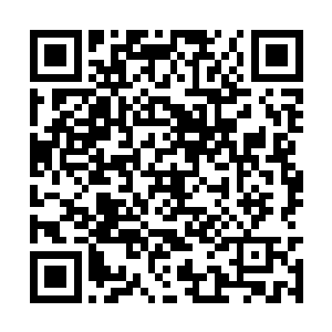 一阵强烈至极的疼痛便从他们的蛛囊部分传了过来二维码生成