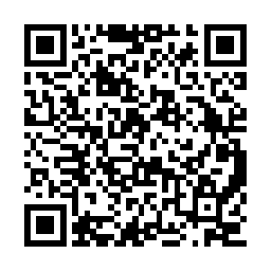 一面传音给我解释了浮动在归塘界主体表的光点二维码生成