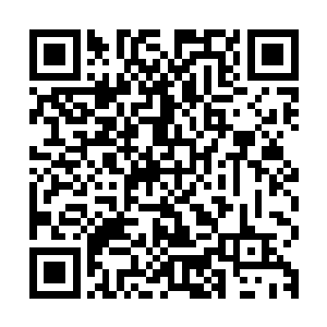丁二狗此刻正陪着石爱国和杨华安等领导在大堤上视察防洪情况二维码生成