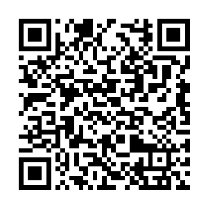 丁桂所在的玉田县和附近的几个县都是能靠得住的二维码生成