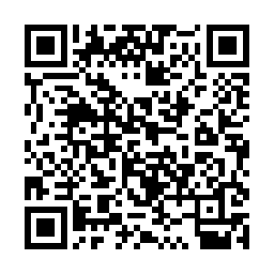 丁铃铛和白老大他们能及时关闭星舰的所有法宝单元二维码生成