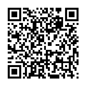 丁长生在窗户里看见楼下于全方的车进了政fǔ大院二维码生成