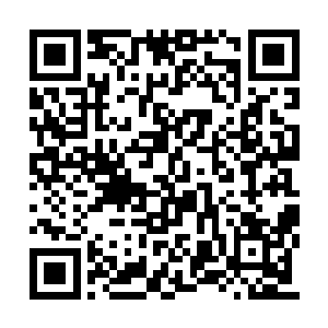 丁长生指了指远处一个山头上的两个晃动的黑影二维码生成