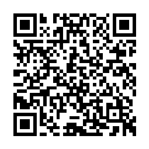 七中的招生老师直接拍板将三年六学期的都付了二维码生成