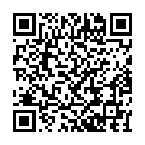 七少爷冷不防看到一个精致绝美的姑娘从天而降二维码生成