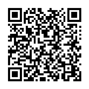 万一他把我们的召唤兽扣在地球不还给我们怎么办二维码生成