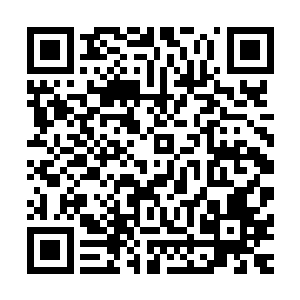 万万没想到的是都过去了二十多天冰雪莲依旧是没一点的反应二维码生成