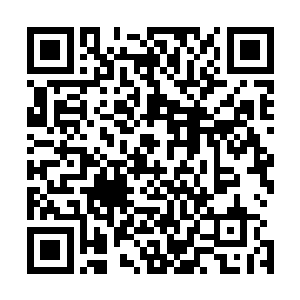 万幸的是那名厨师和另外那个家伙因为在第一次爆炸的时候二维码生成