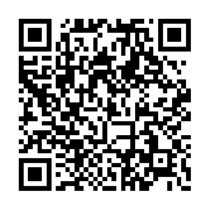 万没想到高长老与这位杨长老一见面便如此火爆二维码生成