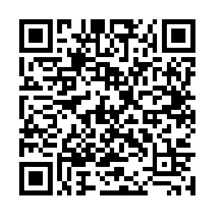 三个秩序守护者巅峰境界的高手都挡不住这个家伙二维码生成