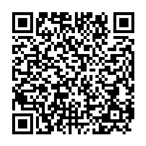 三人合抱的老树便被噬金蚁吞噬得只剩下期间的木系精华和缠绕的藤蔓二维码生成