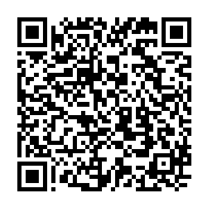 三名解说中唯一的女解说员苏小研也是不知道旁边的这个死胖子到底在笑些什么二维码生成