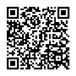 三天过去了……五天过去了……十天过去了……二维码生成