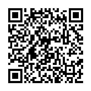 三年前那个在自己面前还有些腼腆谦恭的大学生二维码生成