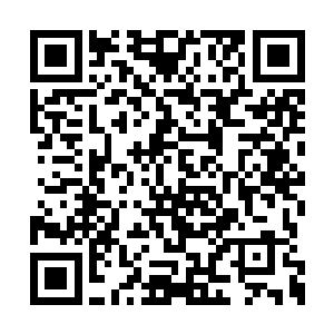 三百骑的包围圈不知何时稍稍向外扩展了五十步二维码生成