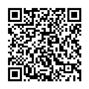 三眼会为这个计划前前后后投入了巨量的精力和资源二维码生成