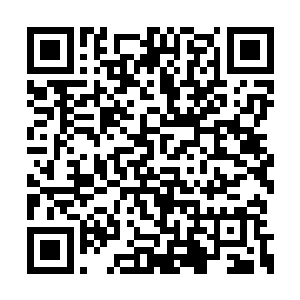 三米多高的身高在体魄出色的兽人中并不算什么二维码生成