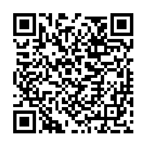 上一任归塘领主是历任归塘领主中战力最强的存在二维码生成