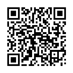 上一次洪大力发现伊姆金属陨石和大力豆那次二维码生成