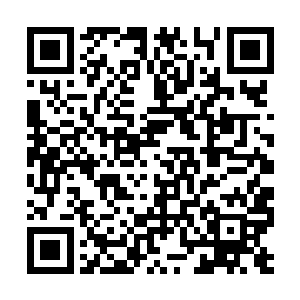 上一次米娜还特意去了天霄宗给她传了杨开的口讯二维码生成