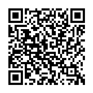 上了车后叶秋就像一个外地来求学的大学生一样二维码生成