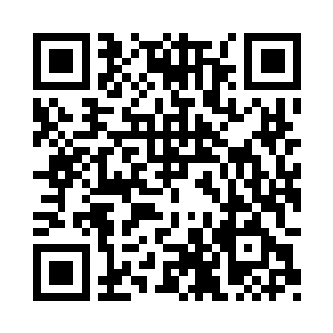 上了飞机何书蔓整个人都松懈了下来二维码生成